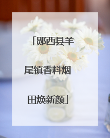 郧西县羊尾镇香料烟田焕新颜