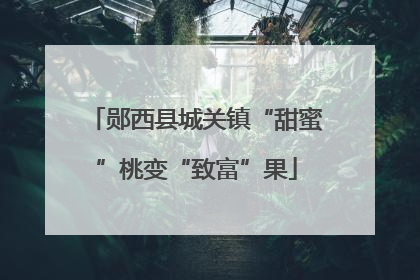 郧西县城关镇“甜蜜”桃变“致富”果