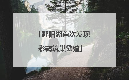 鄱阳湖首次发现彩鹮筑巢繁殖