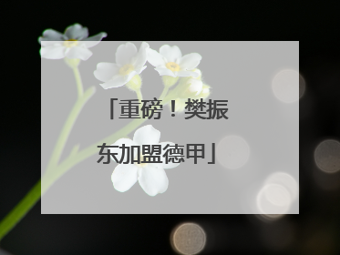 重磅！樊振东加盟德甲