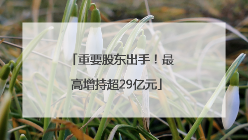 重要股东出手！最高增持超29亿元