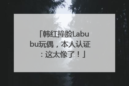 韩红撞脸Labubu玩偶，本人认证：这太像了！