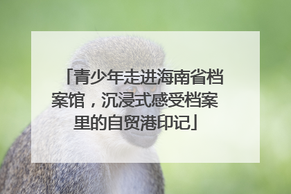 青少年走进海南省档案馆，沉浸式感受档案里的自贸港印记