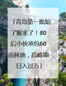 青岛第一批知了猴来了！80后小伙承包60亩林地，高峰期日入过万