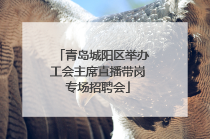 青岛城阳区举办工会主席直播带岗专场招聘会