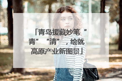 青岛援藏妙笔“青”“清”，绘就高原产业新图景