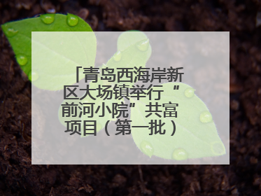 青岛西海岸新区大场镇举行“前河小院”共富项目（第一批）集中开业仪式