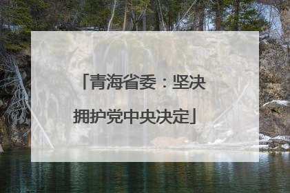 青海省委：坚决拥护党中央决定