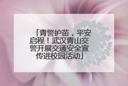 青警护苗，平安启程！武汉青山交警开展交通安全宣传进校园活动