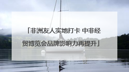 非洲友人实地打卡 中非经贸博览会品牌影响力再提升