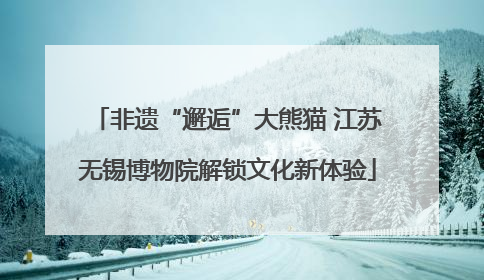非遗“邂逅”大熊猫 江苏无锡博物院解锁文化新体验
