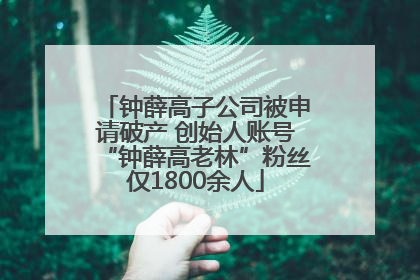 钟薛高子公司被申请破产 创始人账号“钟薛高老林”粉丝仅1800余人