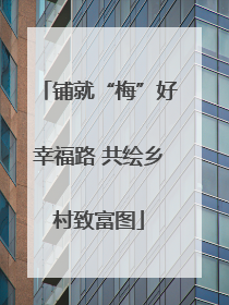 铺就“梅”好幸福路 共绘乡村致富图