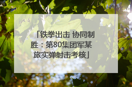 铁拳出击 协同制胜：第80集团军某旅实弹射击考核