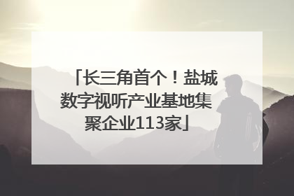 长三角首个！盐城数字视听产业基地集聚企业113家