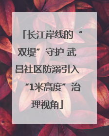 长江岸线的“双堤”守护 武昌社区防溺引入“1米高度”治理视角