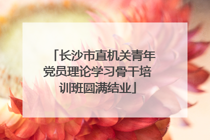 长沙市直机关青年党员理论学习骨干培训班圆满结业