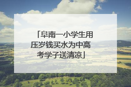 阜南一小学生用压岁钱买水为中高考学子送清凉