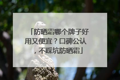 防晒霜哪个牌子好用又便宜？口碑公认，不踩坑防晒霜
