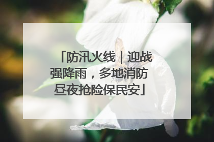 防汛火线｜迎战强降雨，多地消防昼夜抢险保民安