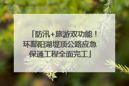 防汛+旅游双功能！环鄱阳湖堤顶公路应急保通工程全面完工