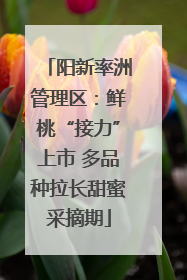 阳新率洲管理区：鲜桃“接力”上市 多品种拉长甜蜜采摘期