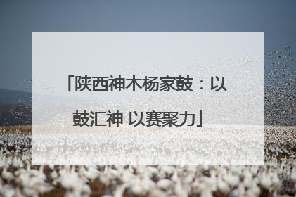 陕西神木杨家鼓：以鼓汇神 以赛聚力