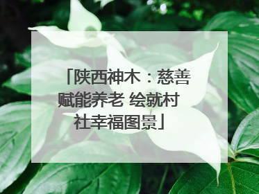 陕西神木：慈善赋能养老 绘就村社幸福图景