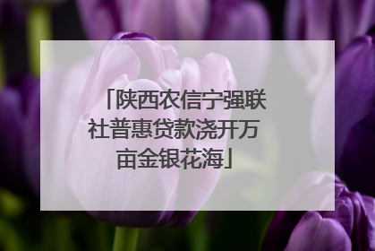 陕西农信宁强联社普惠贷款浇开万亩金银花海
