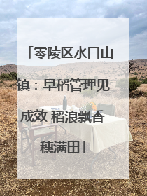 零陵区水口山镇：早稻管理见成效 稻浪飘香穗满田