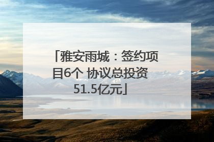 雅安雨城：签约项目6个 协议总投资51.5亿元