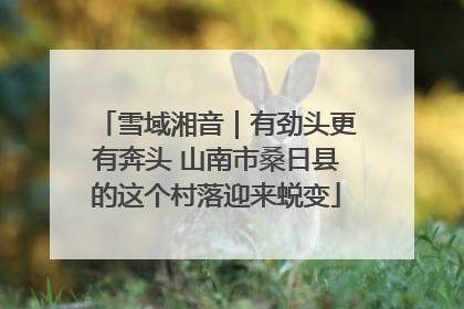 雪域湘音｜有劲头更有奔头 山南市桑日县的这个村落迎来蜕变