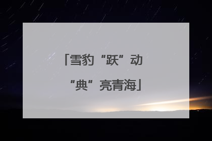 雪豹“跃”动 “典”亮青海