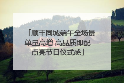 顺丰同城端午全场景单量高增 高品质即配点亮节日仪式感