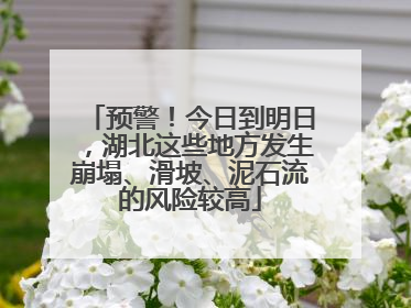 预警！今日到明日，湖北这些地方发生崩塌、滑坡、泥石流的风险较高