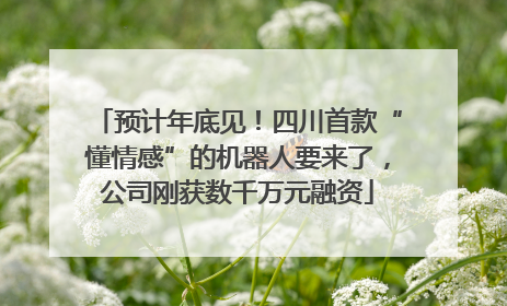 预计年底见！四川首款“懂情感”的机器人要来了，公司刚获数千万元融资