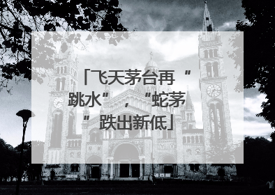 飞天茅台再“跳水”，“蛇茅”跌出新低