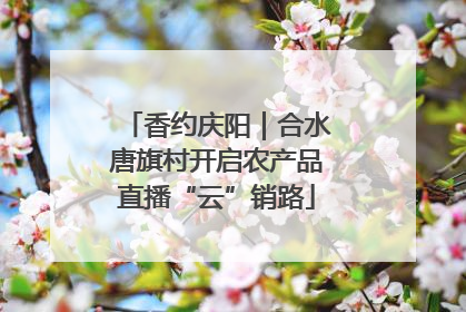 香约庆阳｜合水唐旗村开启农产品直播“云”销路
