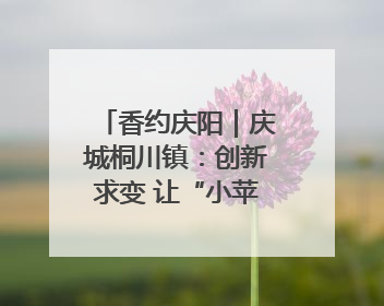 香约庆阳｜庆城桐川镇：创新求变 让“小苹果”做成“大产业”
