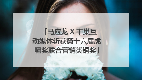 马应龙 X 丰巢互动媒体斩获第十六届虎啸奖联合营销类铜奖