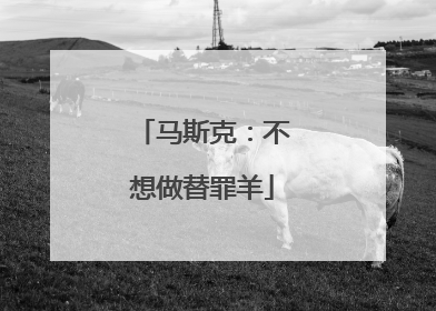 马斯克：不想做替罪羊
