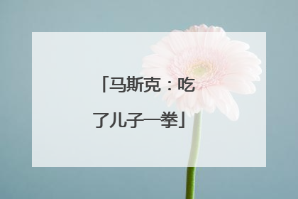 马斯克：吃了儿子一拳
