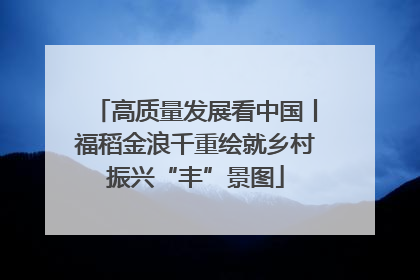 高质量发展看中国丨福稻金浪千重绘就乡村振兴“丰”景图