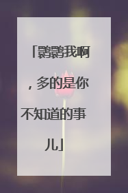 鹮鹮我啊，多的是你不知道的事儿