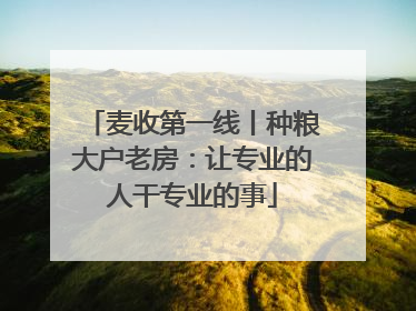麦收第一线丨种粮大户老房：让专业的人干专业的事