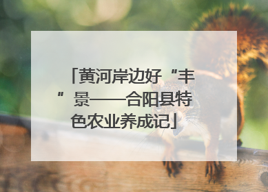 黄河岸边好“丰”景——合阳县特色农业养成记
