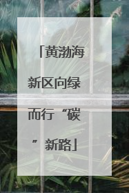 黄渤海新区向绿而行“碳”新路