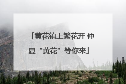 黄花镇上繁花开 仲夏“黄花”等你来