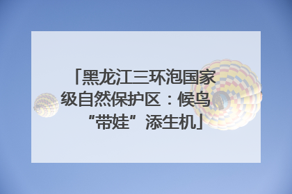 黑龙江三环泡国家级自然保护区：候鸟“带娃”添生机