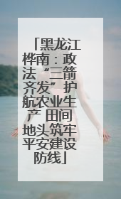 黑龙江桦南：政法“三箭齐发”护航农业生产 田间地头筑牢平安建设防线